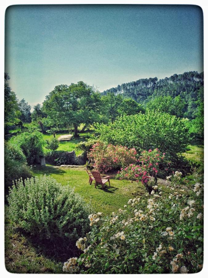 Oracines Du Calme Maison Helianthy Sanilhac  Dış mekan fotoğraf